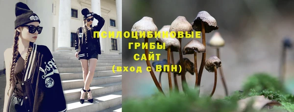 крисы Балабаново