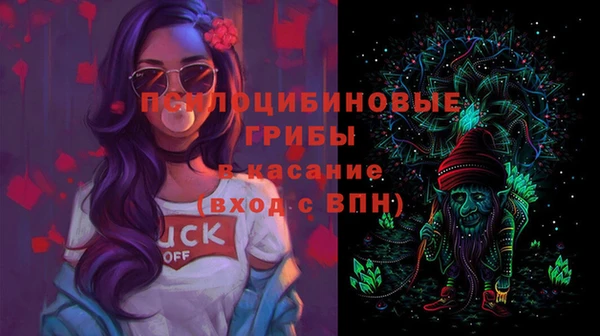 соль ск Балахна