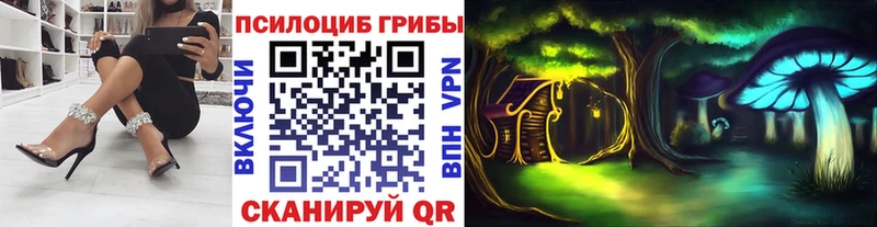 где купить наркоту  Старая Купавна  Псилоцибиновые грибы Cubensis 