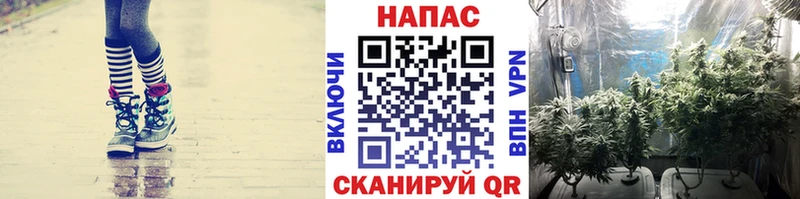 Каннабис тримм  гидра зеркало  Старая Купавна 
